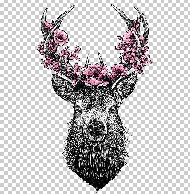 White-tailed Deer Antler Flower Drawing PNG, Clipart, Animals, Antler, Art, Avatan, Avatan Plus Free PNG Download
