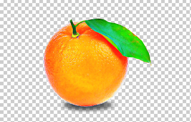 Orange PNG, Clipart, Citrus, Clementine, Food, Fruit, Mandarin Orange Free PNG Download