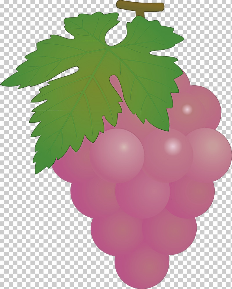Grape Grapes Fruit PNG, Clipart, Flower, Fruit, Grape, Grape Leaves, Grapes Free PNG Download