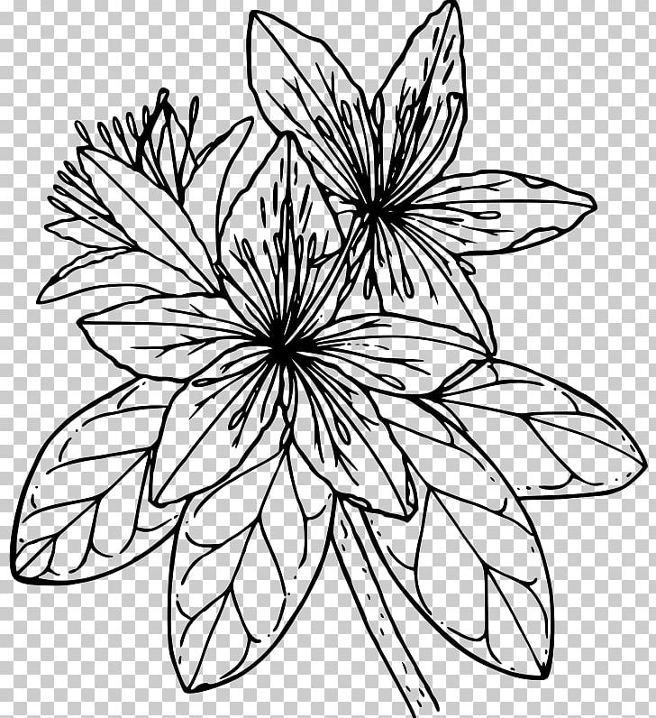 Azalea Pacific Rhododendron Drawing PNG, Clipart, Artwork, Azalea, Azaleas, Black And White, Computer Icons Free PNG Download