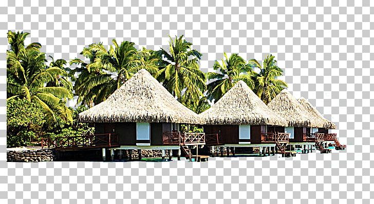 Bali Punta Cana Hotel Sofitel Bora Bora Marara Beach Resort Bungalow PNG, Clipart, Accommodation, Allinclusive Resort, Autumn Tree, Beach, Coconut Free PNG Download