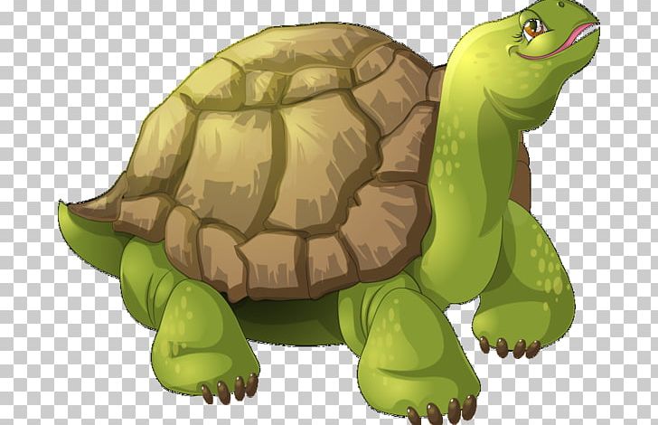 Box Turtles Sea Turtle Tortoise PNG, Clipart, Animals, Box Turtle, Box Turtles, Cartoon, Chelydridae Free PNG Download