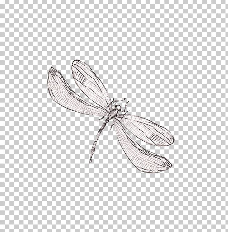 Dragonfly Graphic Design PNG, Clipart, Adobe Illustrator, Art, Beautiful, Beauty, Hand Free PNG Download