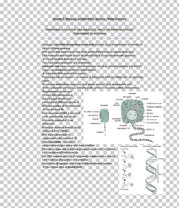 Document Line Organism Recipe Screenshot PNG, Clipart, Area, Art, Diagram, Document, Genetic Variation Free PNG Download