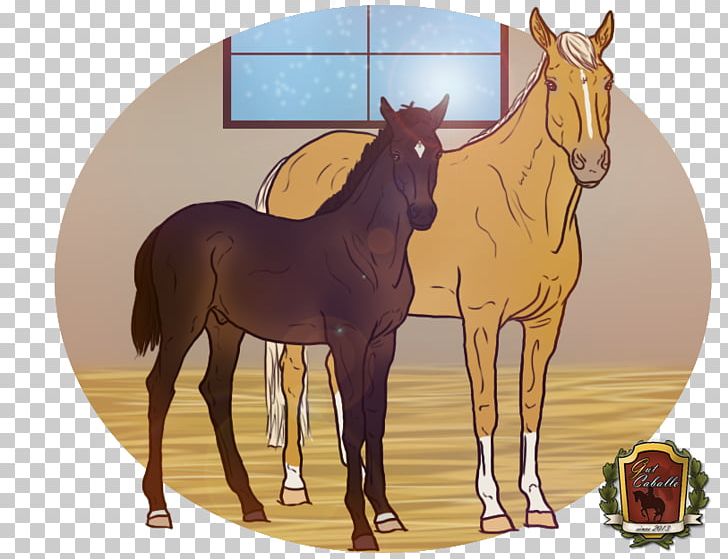 Foal Mustang Stallion Colt Mare PNG, Clipart,  Free PNG Download