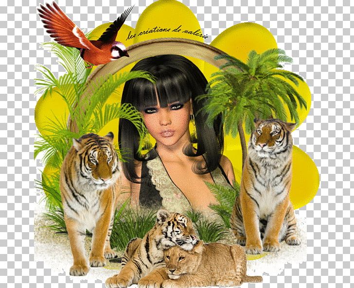 Indochinese Tiger Fototapet Cat PPS. Imaging GmbH PNG, Clipart, Big Cat, Big Cats, Carnivoran, Cat, Cat Like Mammal Free PNG Download
