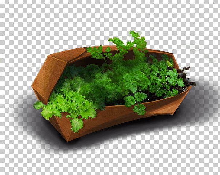 Leaf Vegetable Herb Flowerpot PNG, Clipart, Art, Flowerpot, Gardening, Grass, Herb Free PNG Download