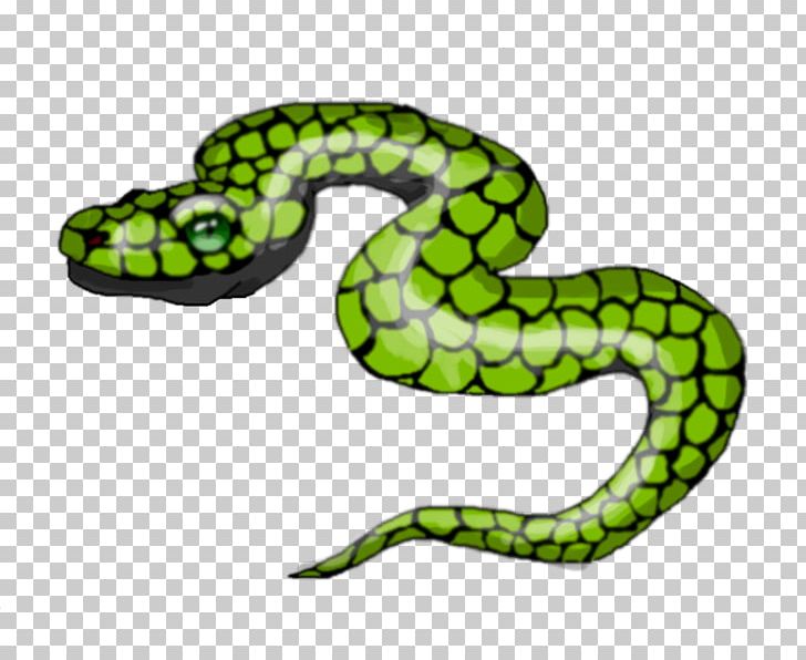 Vipers Kingsnakes White Snake Drawing PNG, Clipart, Animal, Animal Figure, Animals, Art, Digital Art Free PNG Download