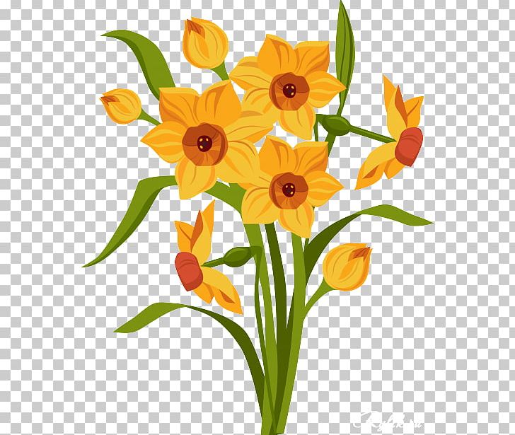 Drawing Daffodil PNG, Clipart, Amaryllis Family, Beautiful Flowers, Cut Flowers, Daffodil, Drawing Free PNG Download