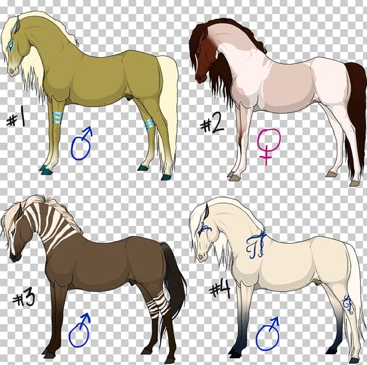 Foal Mane Stallion Mare Colt PNG, Clipart,  Free PNG Download