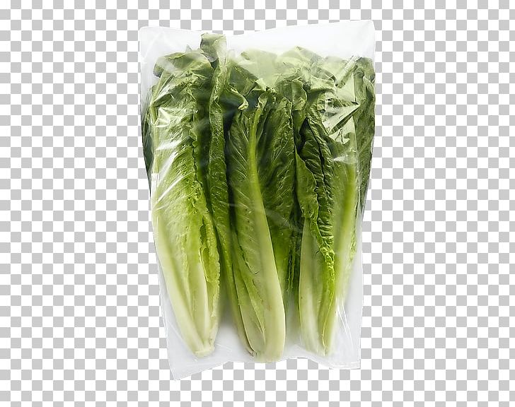 Leftovers Romaine Lettuce 夢里花落知多少 Coffee Roasting PNG, Clipart, Celtuce, Chard, Choy Sum, Coffee, Collard Greens Free PNG Download