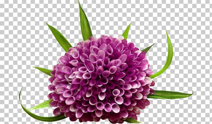 Purple Flower Arranging Painted PNG, Clipart, Algae, Aquatic Plant, Cut Flowers, Dahlia, Download Free PNG Download