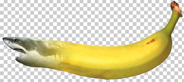 Banana Shark PNG, Clipart, Banana, Banana Family, Banana Tree, Com, Food Free PNG Download