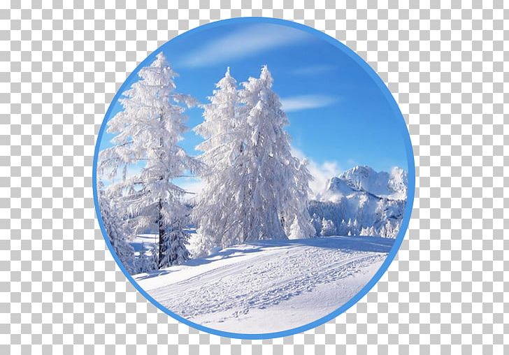 Desktop Snow Tree Winter Christmas PNG, Clipart, 1080p, Arctic, Christmas, Christmas Ornament, Christmas Tree Free PNG Download