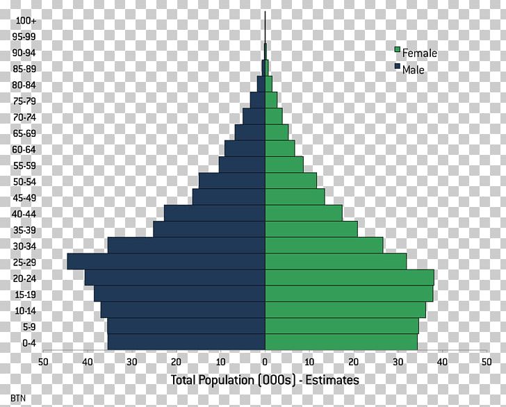Population Rate Literacy Demography Statistics PNG, Clipart, Christmas Tree, Cone, Demography, Dependency Ratio, Diagram Free PNG Download