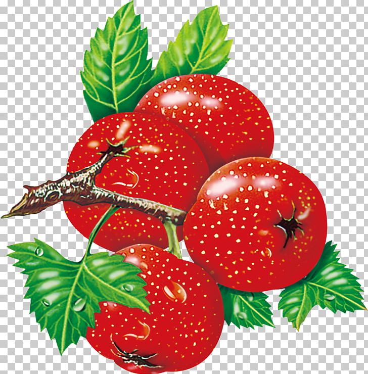 Strawberry PNG, Clipart, Berry, Cherries, Cherry Blossom, Cherry Blossoms, Cherry Blossom Tree Free PNG Download