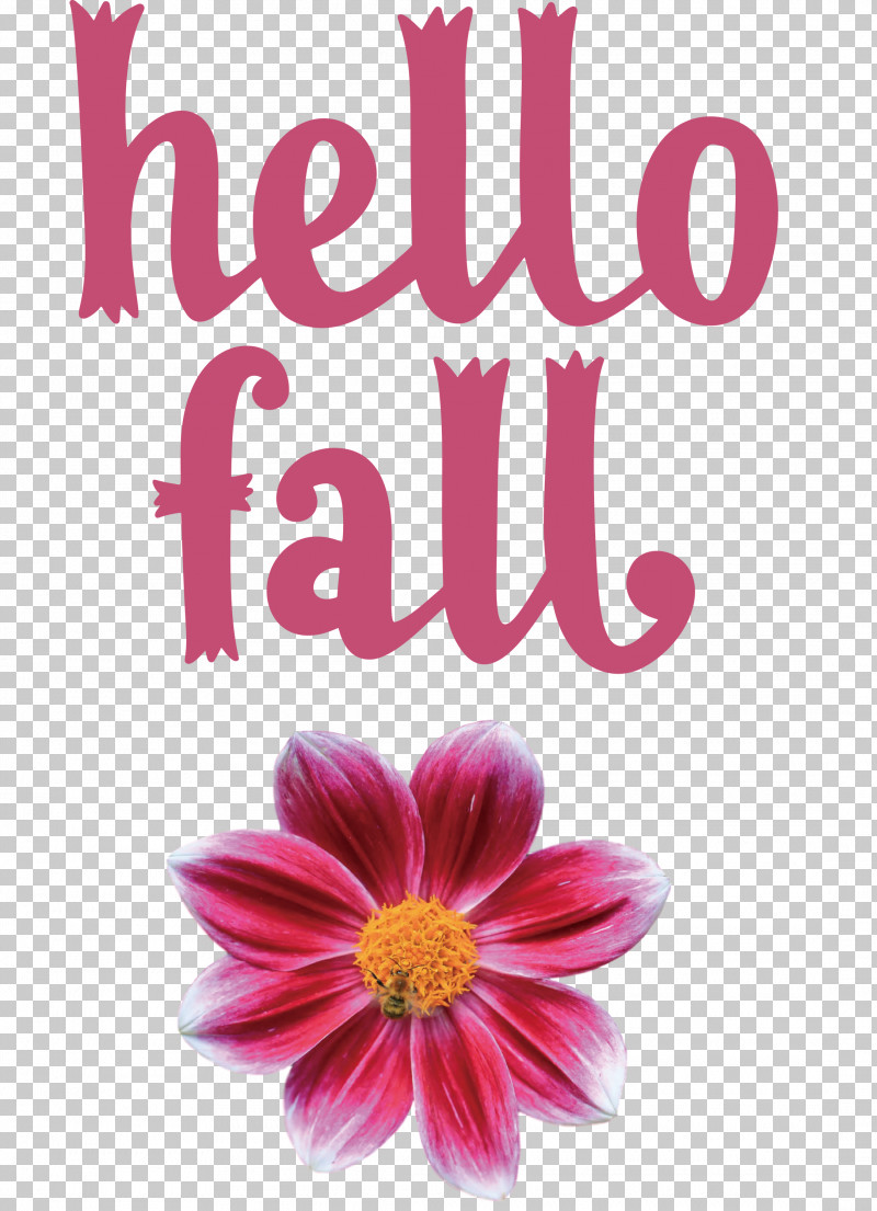 Hello Fall Fall Autumn PNG, Clipart, Animation, Autumn, Chrysanthemum, Cut Flowers, Fall Free PNG Download