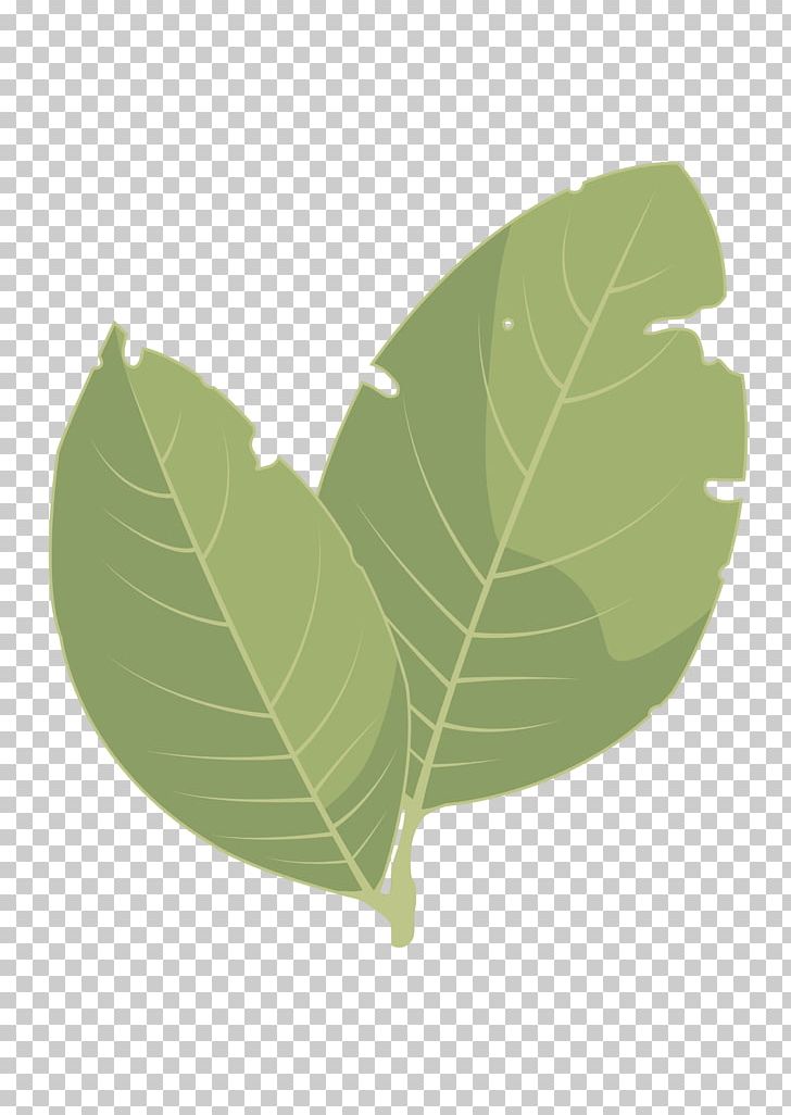 Leaf Information And Communications Technology Strawberry Tree Pistacia Lentiscus Plant Stem PNG, Clipart, Area, Auglis, Bay Laurel, Bildungstechnologie, Education Free PNG Download