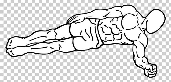 Plank Crunch Abdominal External Oblique Muscle Rectus Abdominis Muscle Isometric Exercise PNG, Clipart, Abdomen, Abdominal External Oblique Muscle, Angle, Area, Arm Free PNG Download