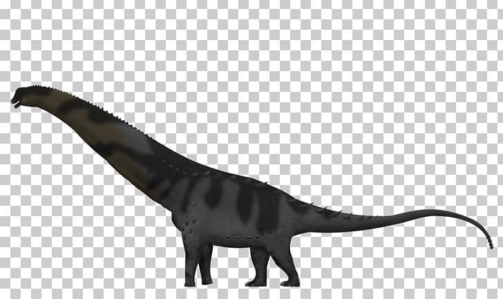 Alamosaurus Hell Creek Formation Spinosaurus Argentinosaurus Sauroposeidon PNG, Clipart, Alamosaurus, Ankylosaurus, Argentinosaurus, Dinosaur, Dreadnoughtus Free PNG Download