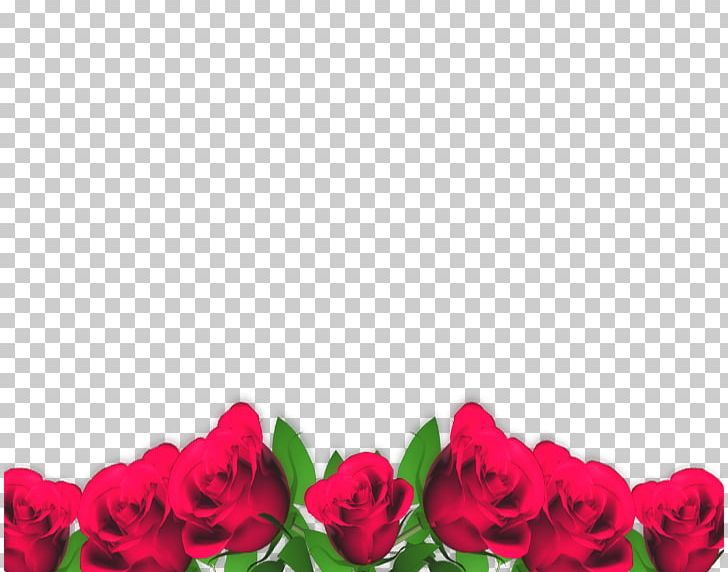Blessing Greeting God Garden Roses Day PNG, Clipart, Afternoon, Blessing, Cut Flowers, De Rosa, Faith Free PNG Download