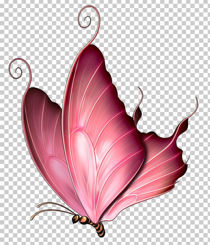 Butterfly Insect Pink Purple PNG, Clipart, Beautiful, Behind, Butterfly Png, Cartoon Couple, Childrens Day Free PNG Download