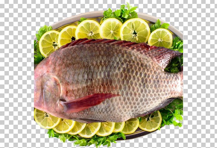 Kipper Tilapia Bengali Cuisine Fish Slice PNG, Clipart, Animals, Animal Source Foods, Bengali Cuisine, Dish, Fillet Free PNG Download