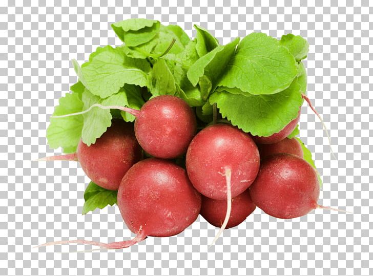 Daikon Vegetable Food PNG, Clipart, Beet, Beetroot, Berry, Black Spanish Radish, Cranberry Free PNG Download