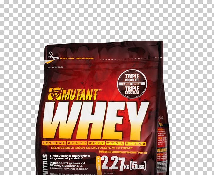 Dietary Supplement Whey Protein Isolate PNG, Clipart, 5 Lb, Branchedchain Amino Acid, Brand, Complete Protein, Dietary Supplement Free PNG Download