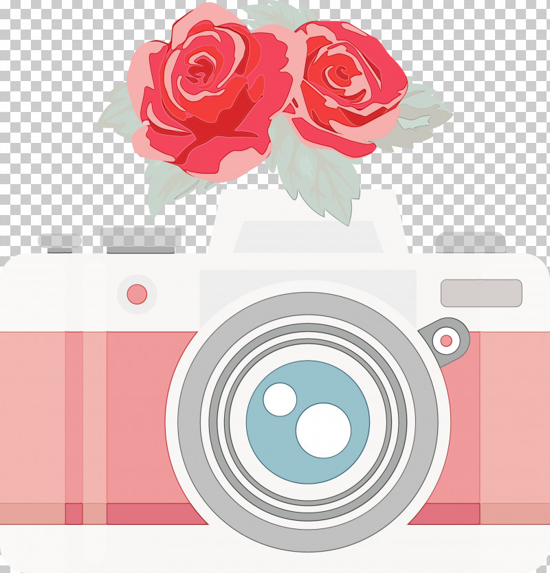 Garden Roses PNG, Clipart, Camera, Drawing, Floral Design, Floribunda, Flower Free PNG Download