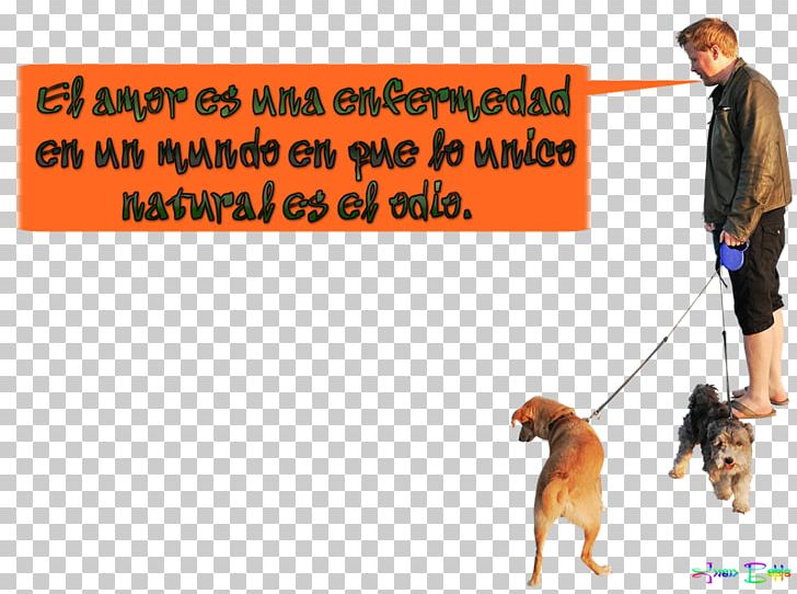 Dog Walking Portable Network Graphics PNG, Clipart, Animals, Carnivoran, Dog, Dog Breed, Dog Like Mammal Free PNG Download