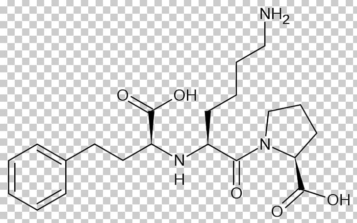 Lisinopril Pharmaceutical Drug Esomeprazole ACE Inhibitor PNG, Clipart, Adverse Effect, Angle, Area, Auto Part, Black And White Free PNG Download