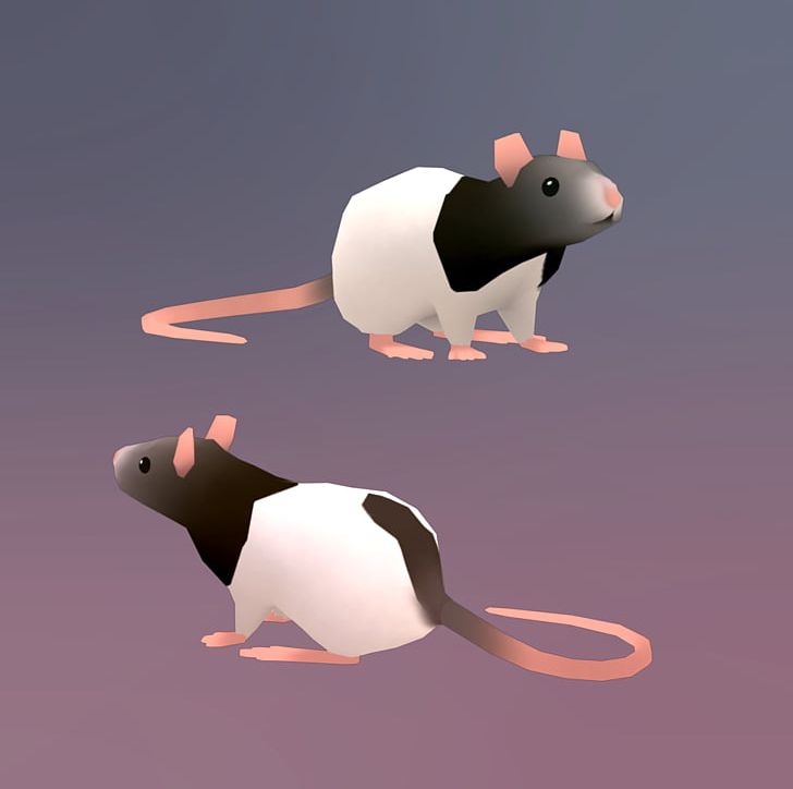 Rat Mouse Rodent Animation PNG, Clipart, 3d Computer Graphics, 3d Modeling, Animals, Animation, Art Free PNG Download
