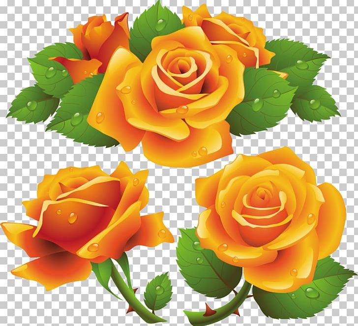 Rose Orange PNG, Clipart, Color, Cut Flowers, Floral Design, Floribunda, Floristry Free PNG Download