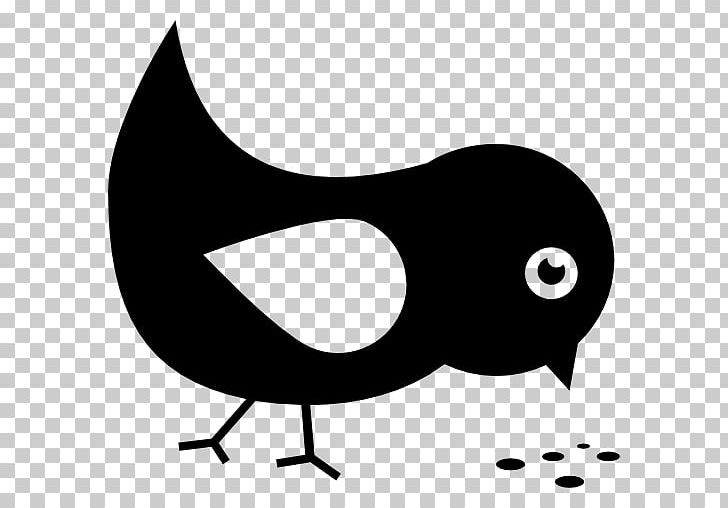 Bird Food Beak PNG, Clipart, American Goldfinch, Animal, Animals, Beak, Bird Free PNG Download