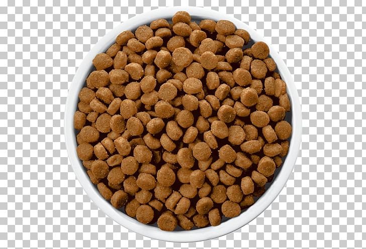 Dog Food Dog Food Hill's Pet Nutrition Veterinarian PNG, Clipart,  Free PNG Download