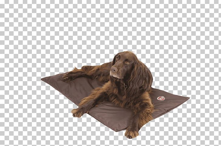 Dog Houses Duvet Mattress Kennel PNG, Clipart, Animals, Basket, Boykin Spaniel, Brown, Dog Free PNG Download