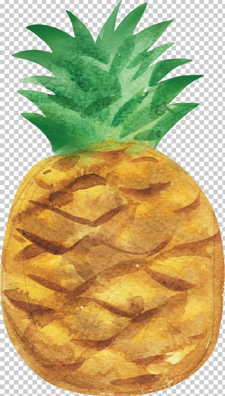 Pineapple Watercolor Painting Fruit PNG, Clipart, Auglis, Bromeliaceae, Color, Drawing, Food Free PNG Download
