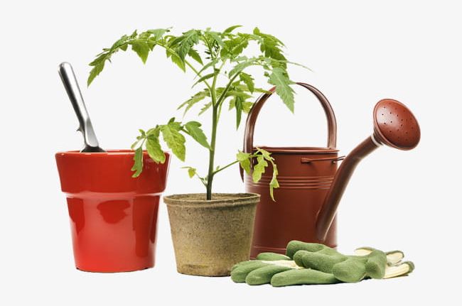 Gardening Tools And Small Potted Plants PNG, Clipart, Apparatus, At Hand, Flowerpot, Gardening, Gardening Clipart Free PNG Download