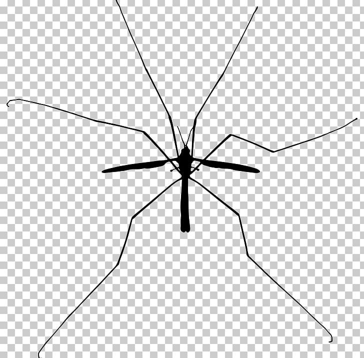 Mosquito Insect Silhouette PNG, Clipart, Angle, Area, Arthropod, Bird, Black And White Free PNG Download