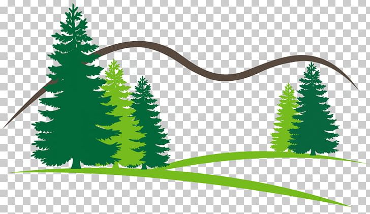 Tree Silhouette PNG, Clipart, Art, Conifer, Conifers, Fir, Grass Free PNG Download