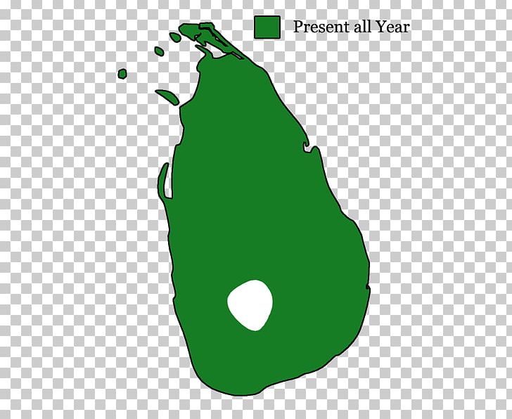 Wilpattu National Park Anuradhapura Map Polonnaruwa Dambulla Cave Temple PNG, Clipart, Angle, Anuradhapura, Archaeological Site, Area, Culture Free PNG Download