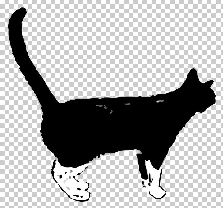 Black Cat Kitten PNG, Clipart, Animals, Black, Black And White, Black Cat, Caracal Free PNG Download