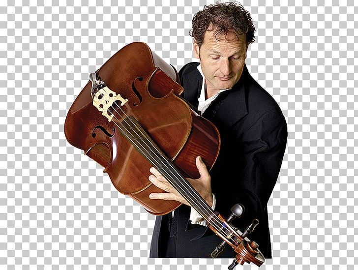 Violone Violin Double Bass Viola Cello PNG, Clipart, Bowed String Instrument, Cellist, Cello, Classical Music, Concertmaster Free PNG Download
