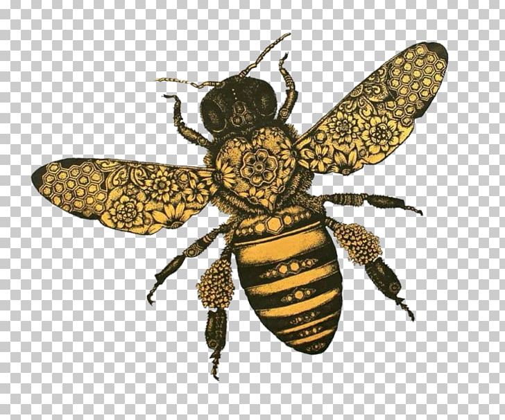 Western Honey Bee T-shirt Insect Hopeless Fountain Kingdom World Tour PNG, Clipart, Arthropod, Bee, Drawing, Fly, Halsey Free PNG Download