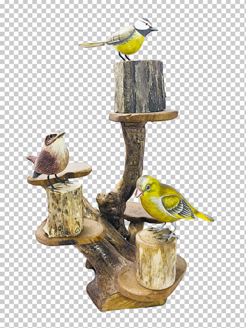 Birds Biology Science PNG, Clipart, Biology, Birds, Science Free PNG Download