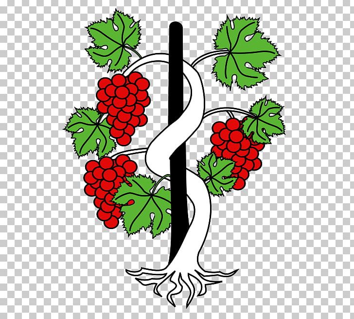 Grape Vigne Heraldry Figura PNG, Clipart, Artwork, Branch, Coat Of Arms, Drawing, Figura Free PNG Download