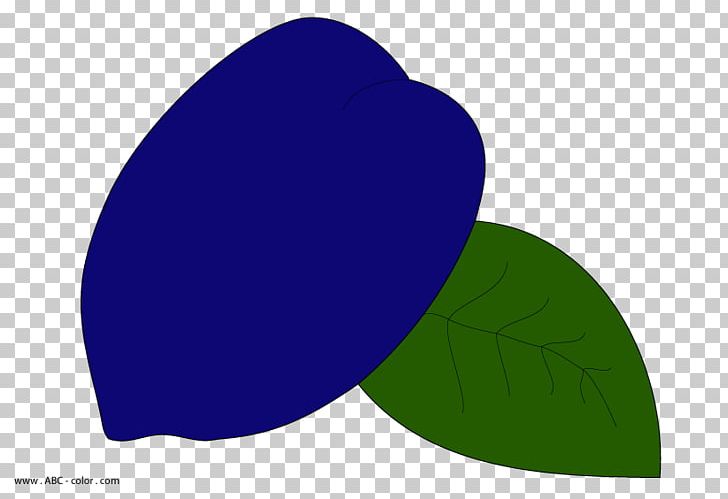 Green Leaf PNG, Clipart, Circle, Grass, Green, Leaf, Plum Free PNG Download