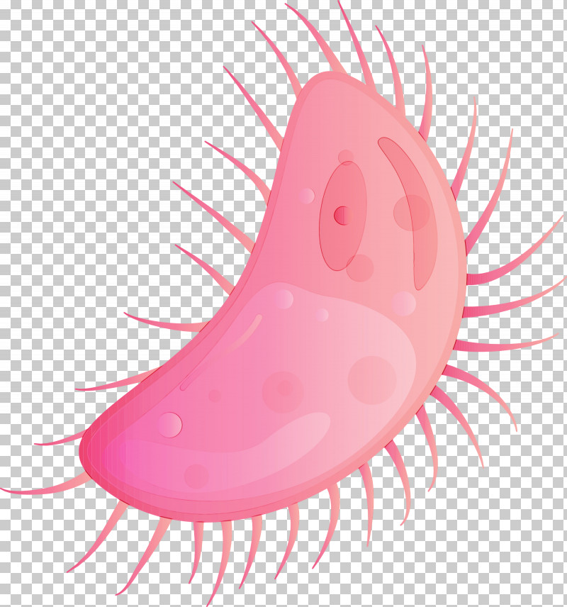 Pink Nose Mouth Lip PNG, Clipart, Lip, Mouth, Nose, Paint, Pink Free PNG Download