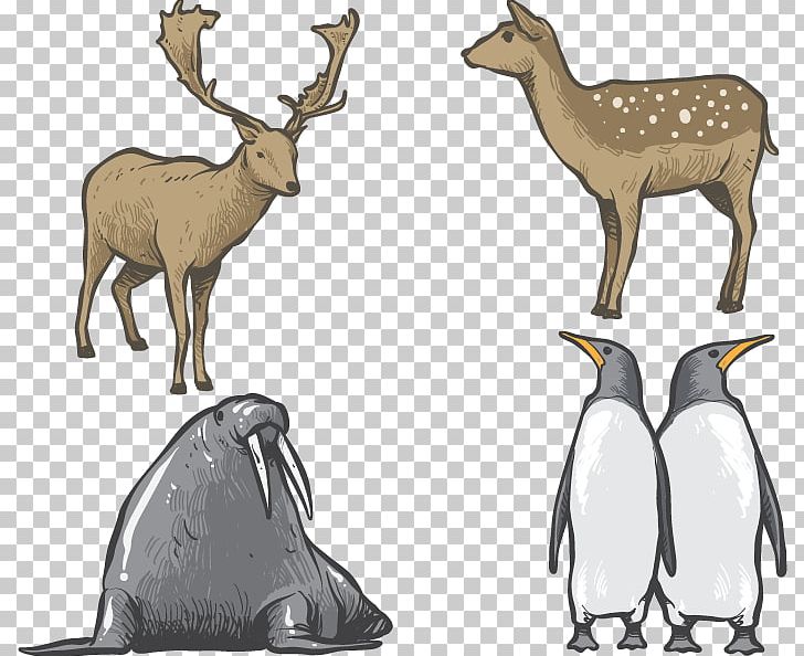 Hand-painted Animals PNG, Clipart, Animal, Animation, Anime Character, Anime Girl, Antler Free PNG Download